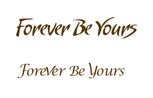 欧美成人头饰品牌forever be yours吊牌logo字体设计fashion hair